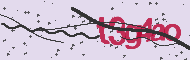 Captcha認証コード