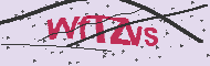 Captcha認証コード